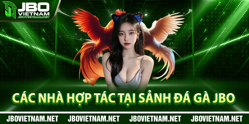 Các Nhà Hợp Tác Tại Sảnh Đá Gà JBO
