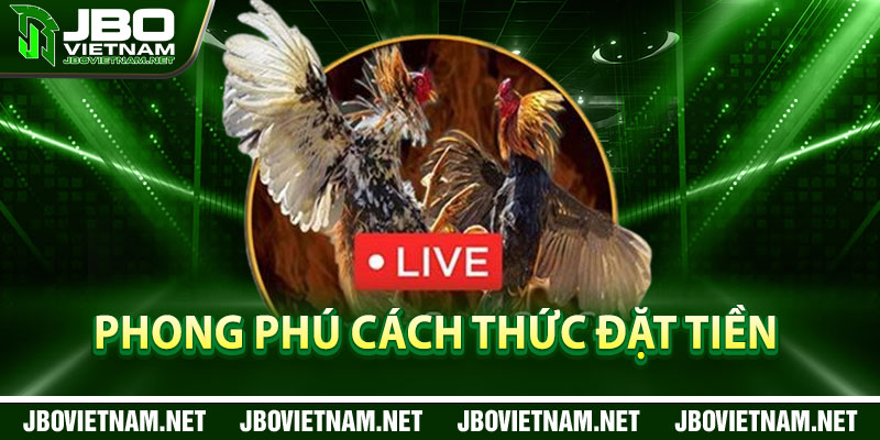 Phong phu cach thuc dat tien